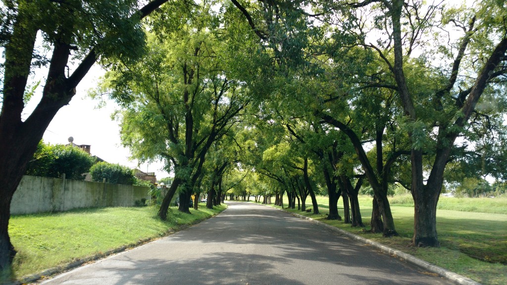 Sóforas de la Calle Quinquela Martín